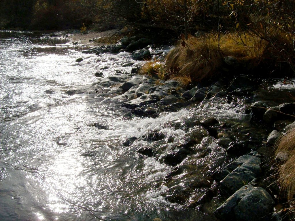 A glistening creek in California