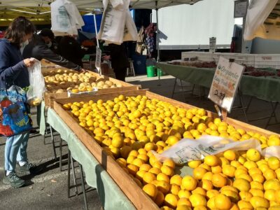 Just a small sample of the astounding variety of food found at Mountain View’s award-winning farmers market. Credit: Neal Gorenflo.