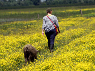 Biodiversity flourishes as farmers return to collective ownership