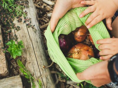 Onions in a reusable mesh bag
