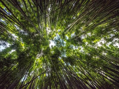 Next Steps for the Next Economy