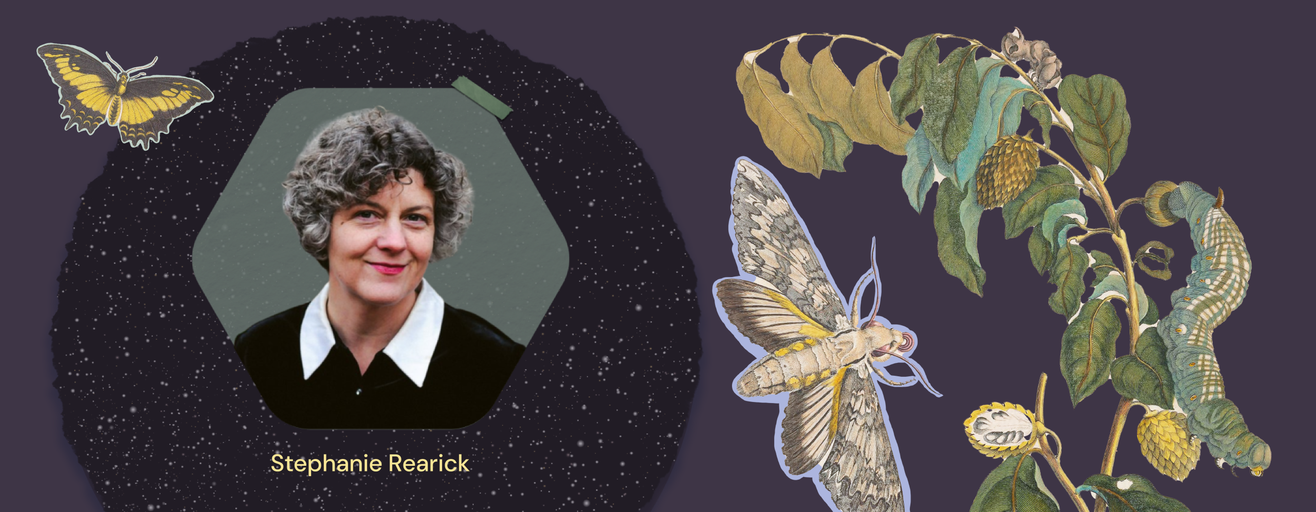 Portrait of presenter Stephanie Rearick