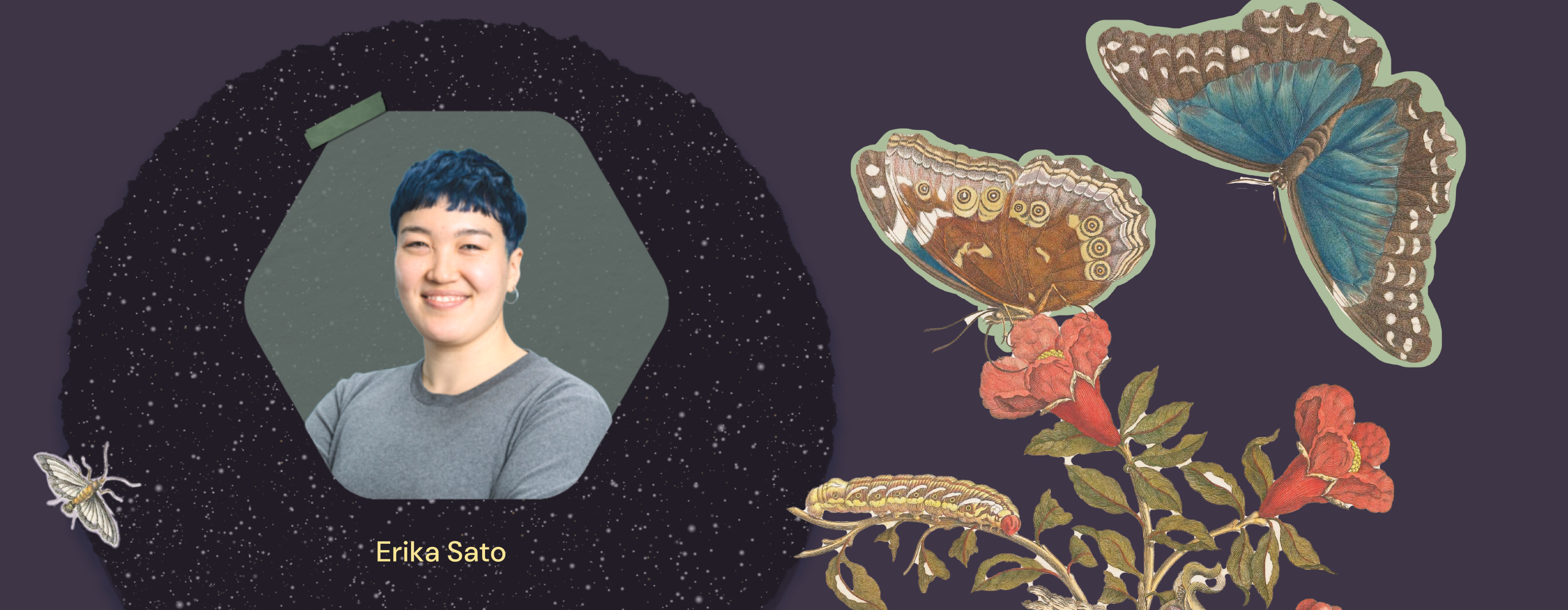 Portrait of presenter Erika Sato