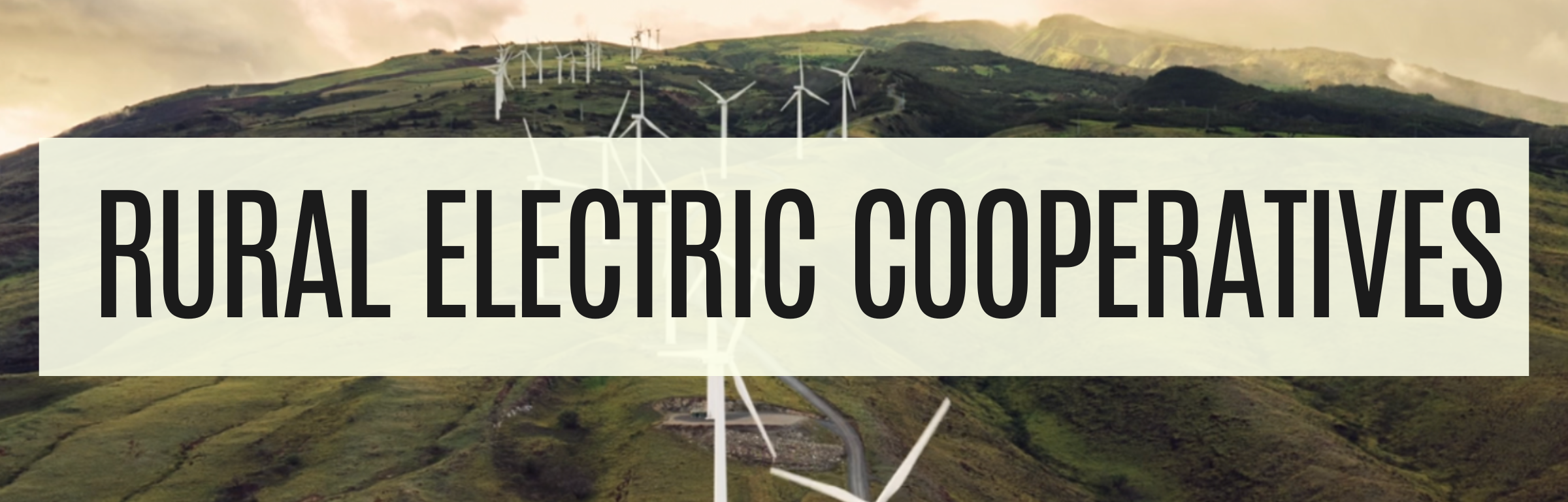 Rural Electric Cooperatives